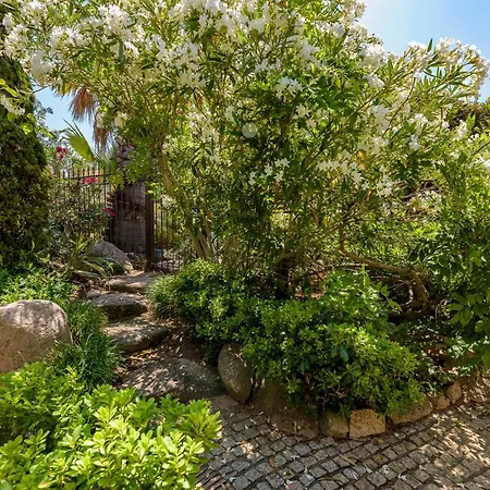 Les De Palombaggia *