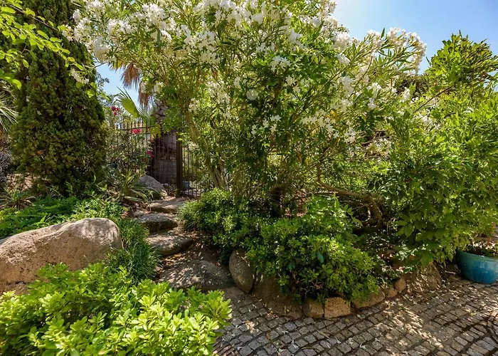 Les De Palombaggia *